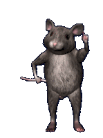 funny-rat-funny.gif
